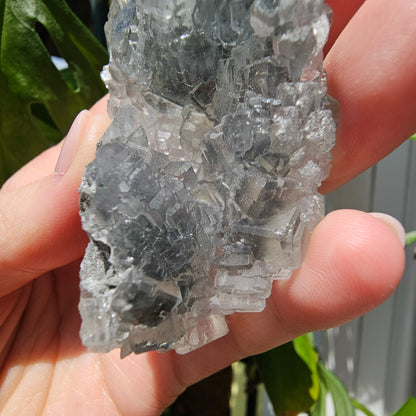 Fluorite from Xinyang #39G