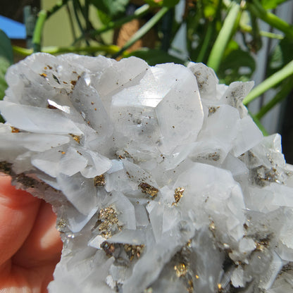 Calcite with Pyrite and Quartz #99B