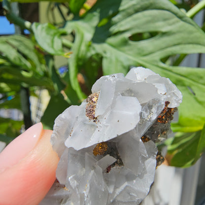 Calcite with Pyrite and Quartz #69C