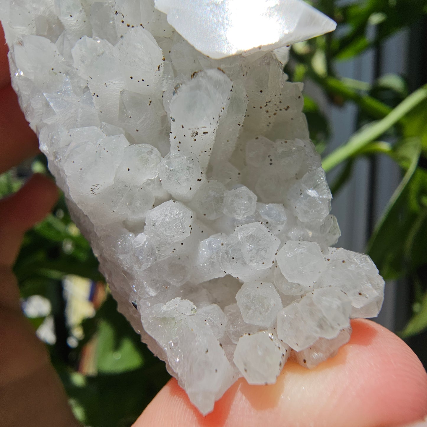 Calcite with Pyrite and Quartz #59D