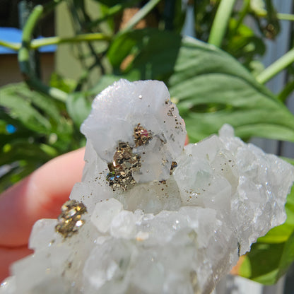 Calcite with Pyrite and Quartz #34G