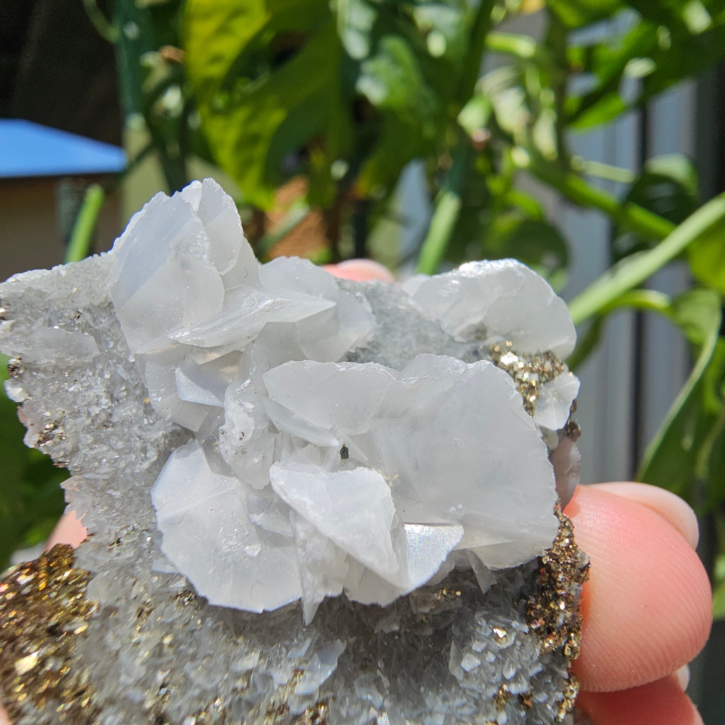 Calcite with Pyrite and Quartz #42i