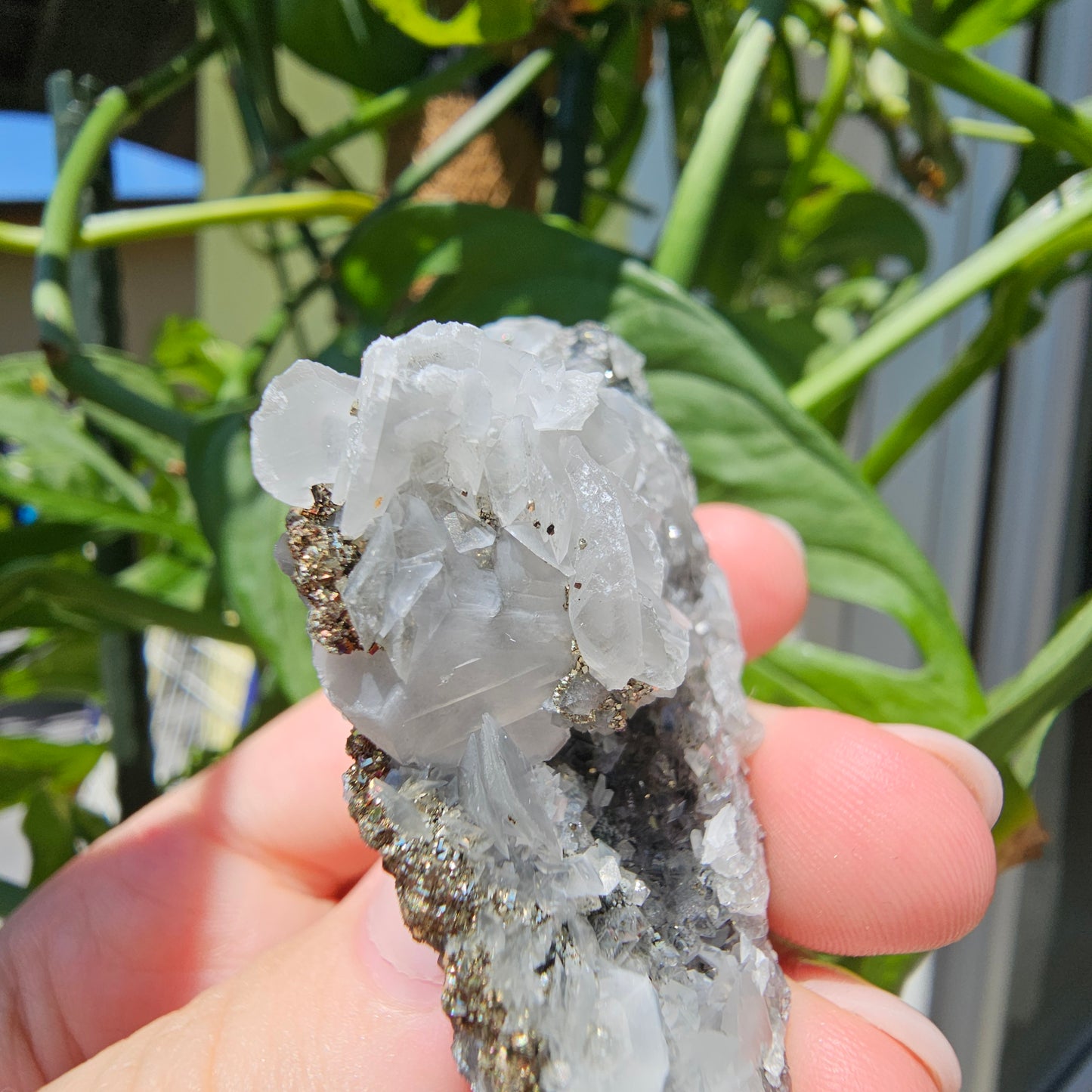 Calcite with Pyrite and Quartz #42i