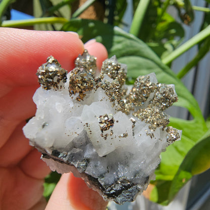 Calcite with Pyrite and Quartz #35L