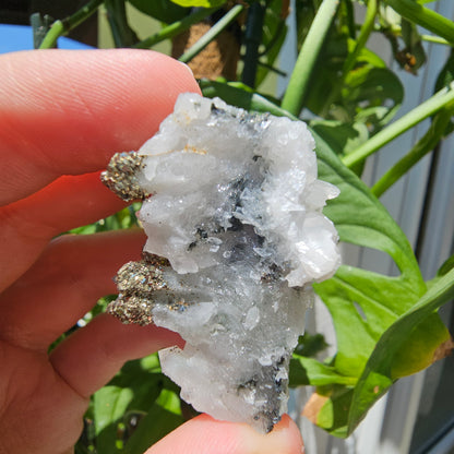 Calcite with Pyrite and Quartz #35L