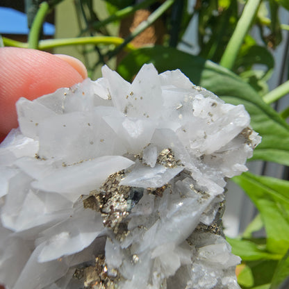 Calcite with Pyrite and Quartz #39N