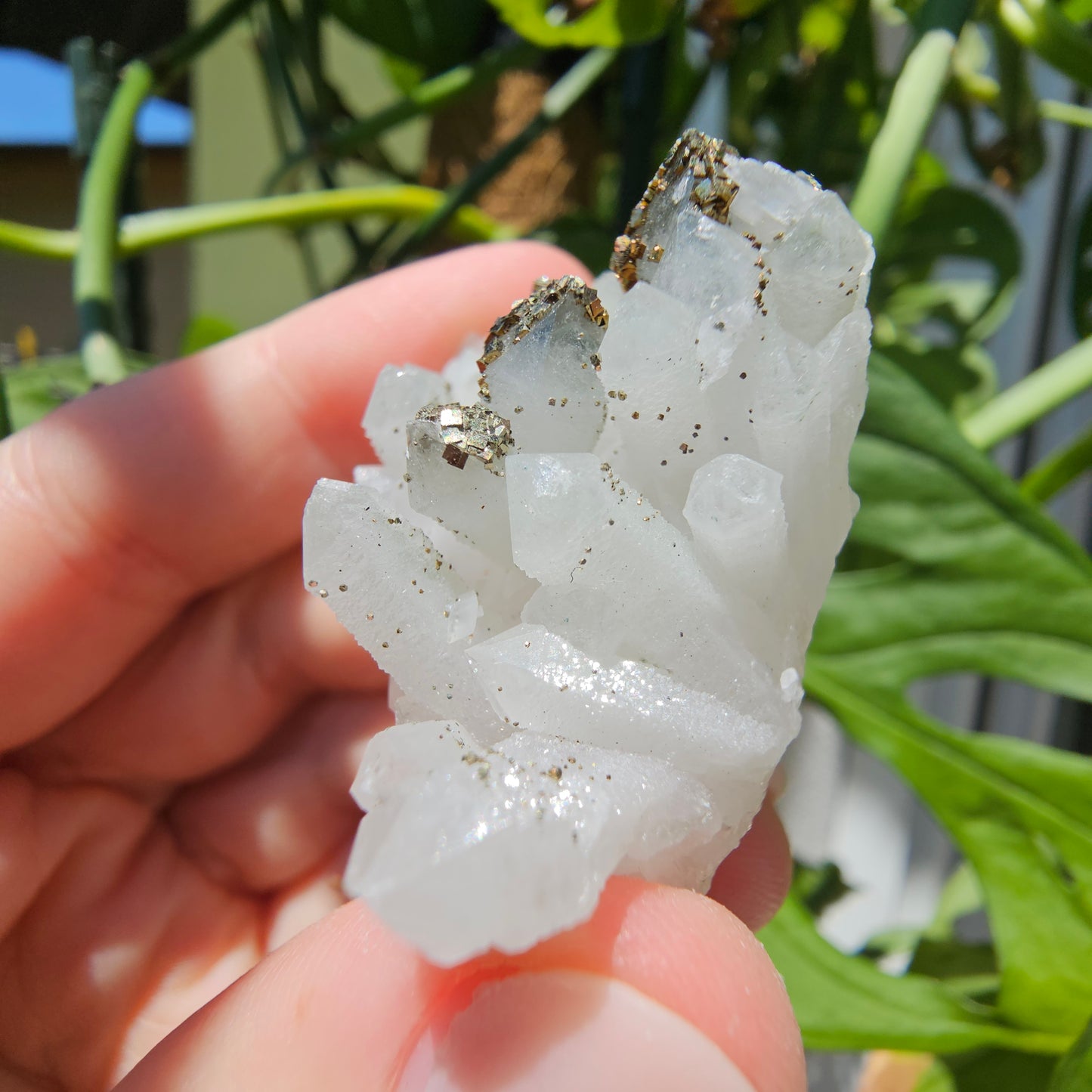 Quartz with Pyrite and Calcite #23R