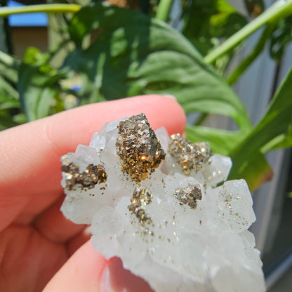 Quartz with Pyrite and Calcite #23R