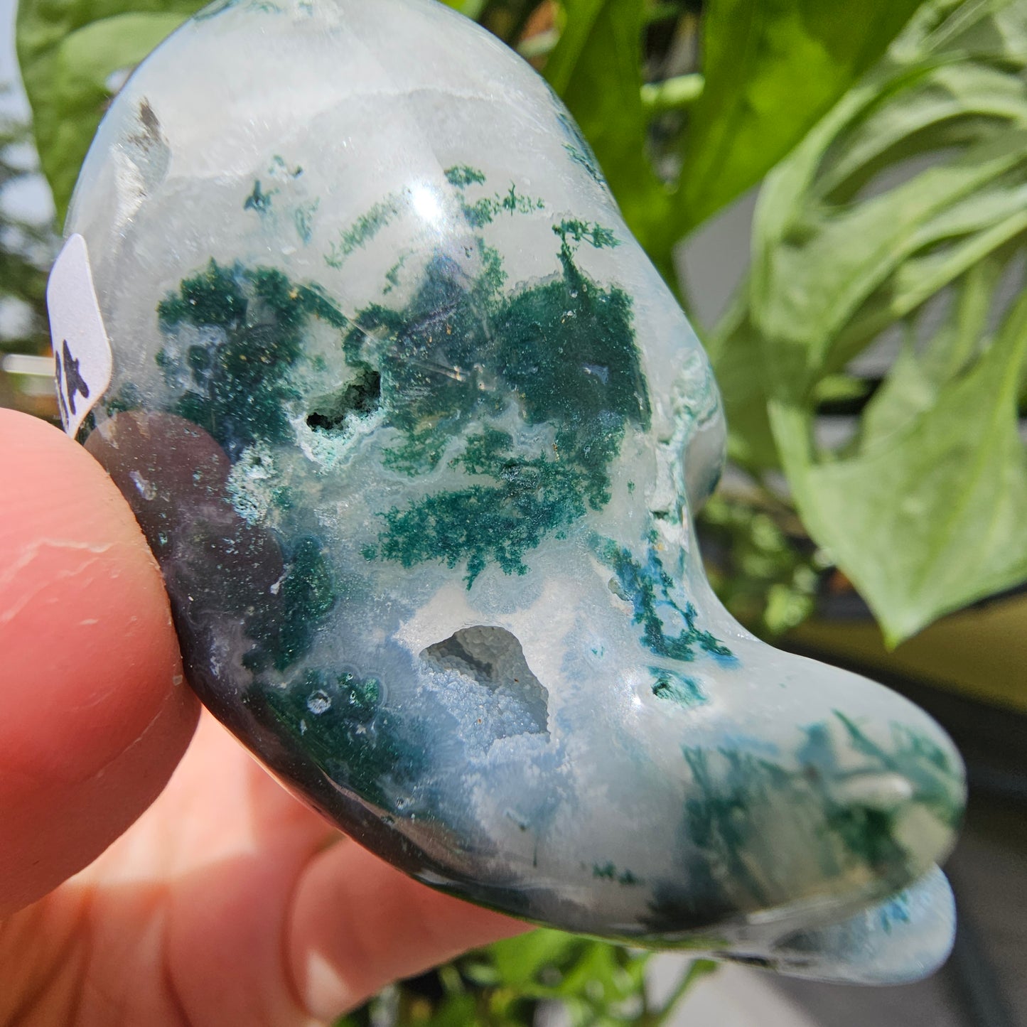 Moss Agate Seal #28A