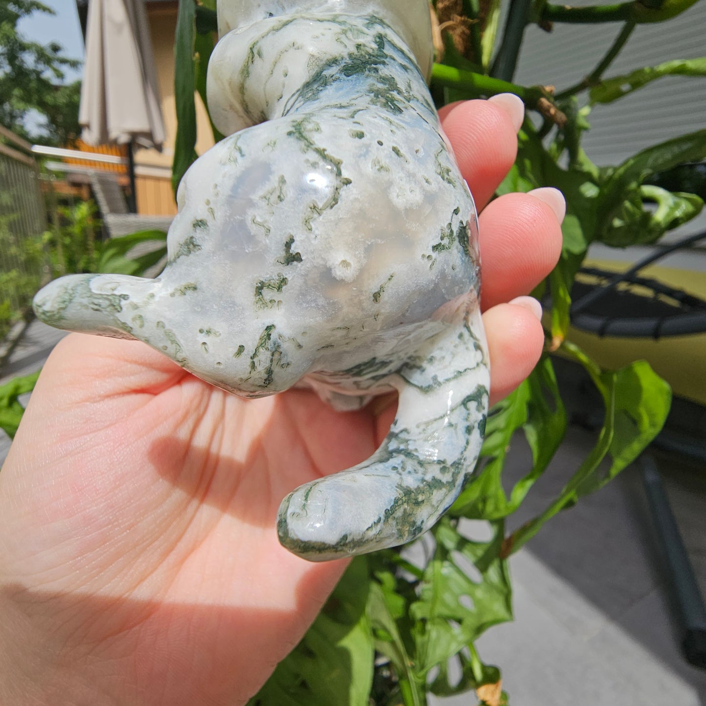 Moss Agate Cat (lying on its back)