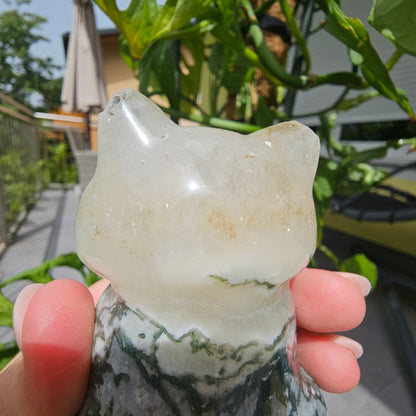 Moss Agate Cat (lying on its back)