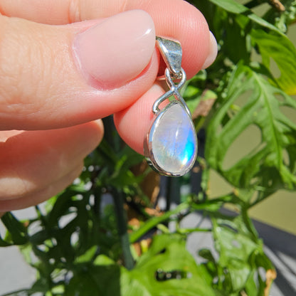 White Labradorite Teardrop Pendant (S925)