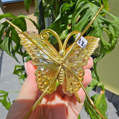 Golden Healer Butterfly #13B