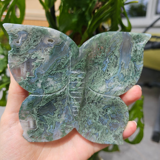 Moss Agate butterfly bowl/plate