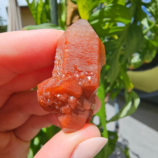 Red Quartz from Morocco #11c