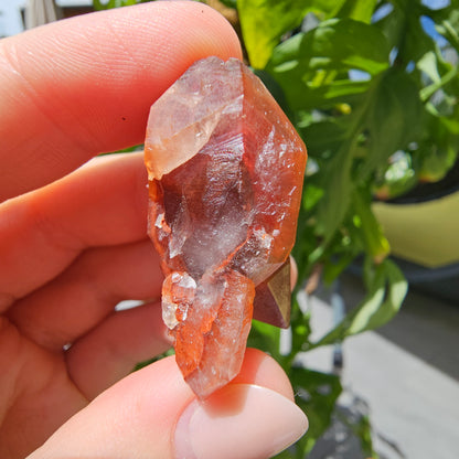 Red Quartz from Morocco #11c