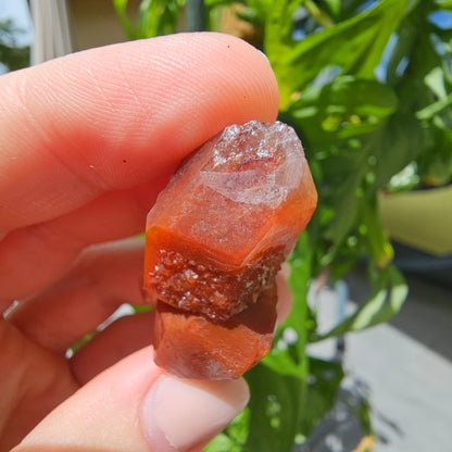 Red Quartz from Morocco #11c