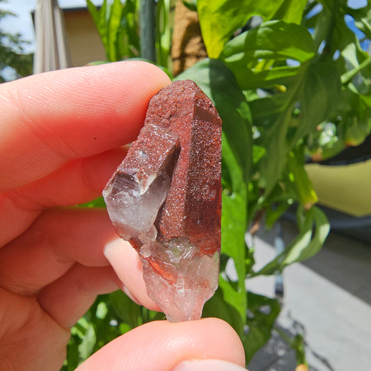 Red Quartz from Morocco #9W