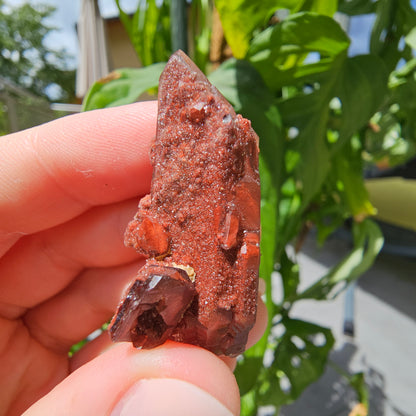 Red Quartz from Morocco #9Q