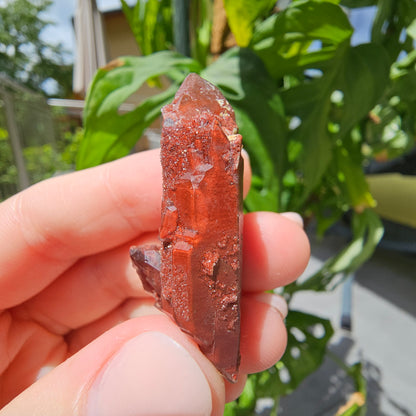 Red Quartz from Morocco #9Q