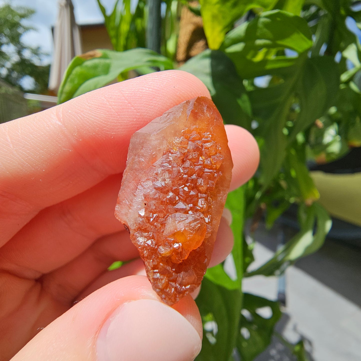 Red Quartz from Morocco #9g