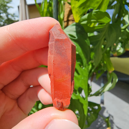 Red Quartz from Morocco #8T