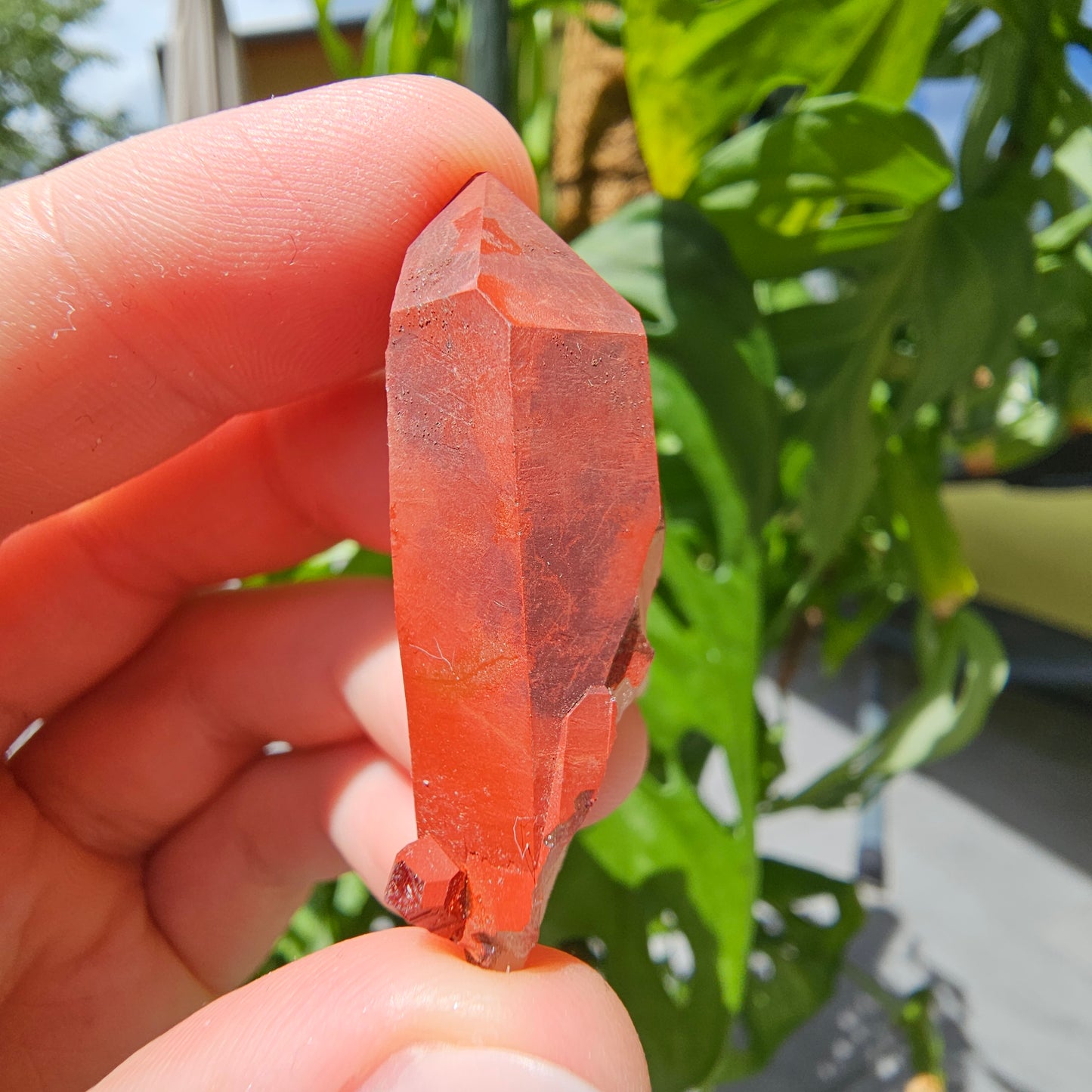 Red Quartz from Morocco #8T