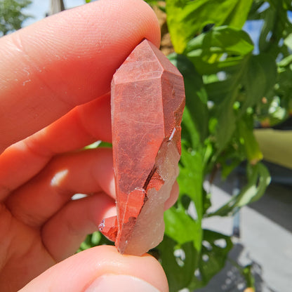 Red Quartz from Morocco #8T