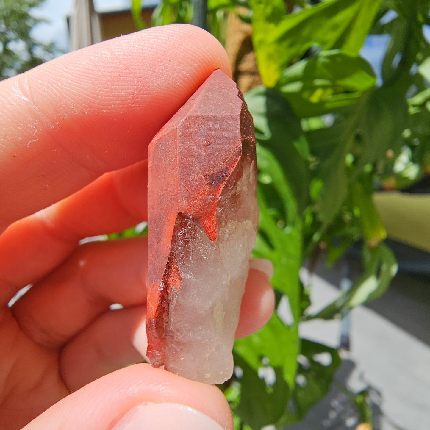 Red Quartz from Morocco #8T