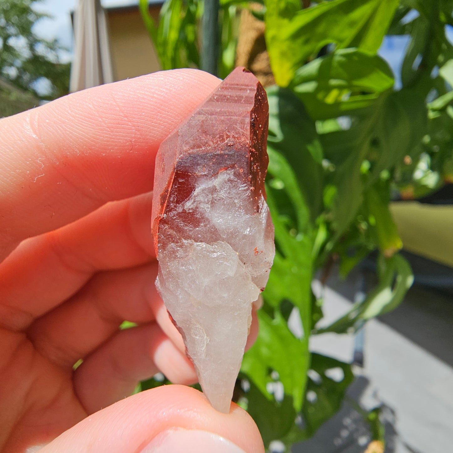 Red Quartz from Morocco #8T