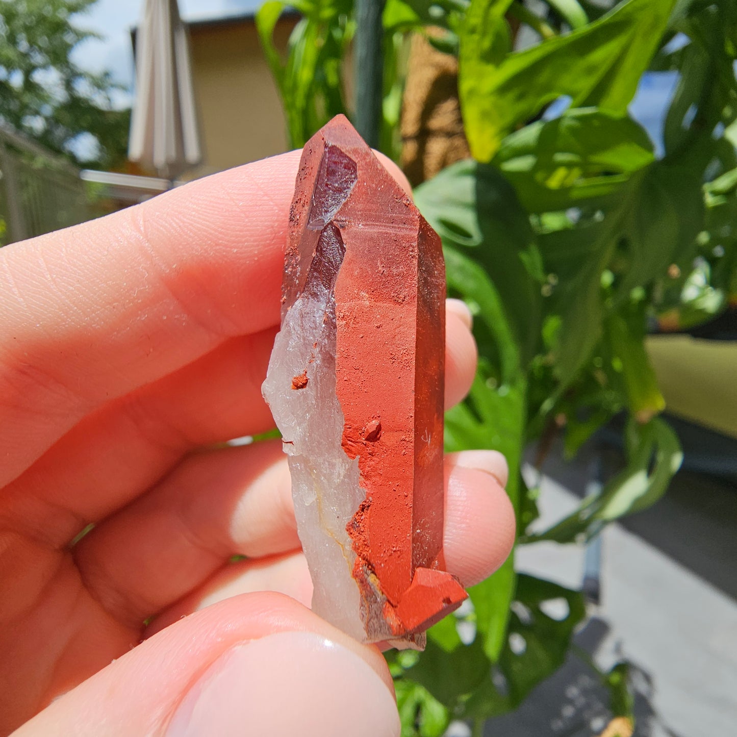 Red Quartz from Morocco #8T