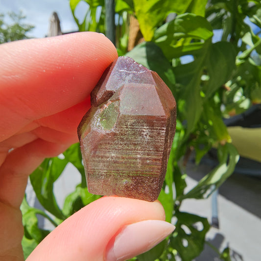 Red Quartz from Morocco #8Y