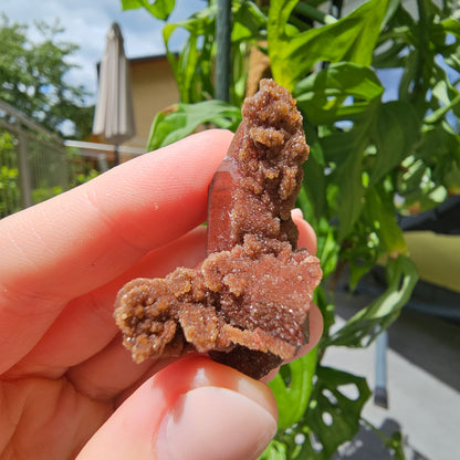 Red Quartz from Morocco #11E