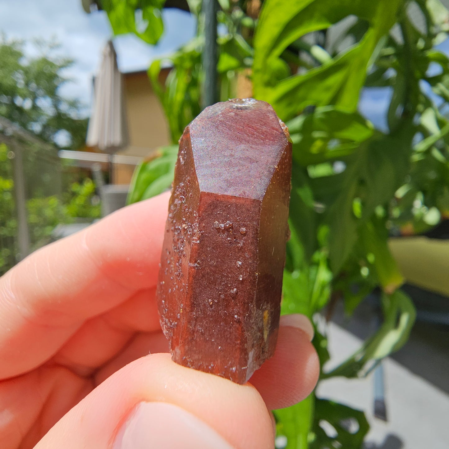 Red Quartz from Morocco #9e