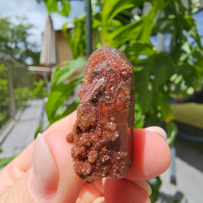 Red Quartz from Morocco #9e