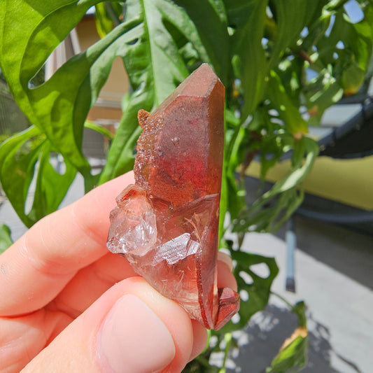 Red Quartz from Morocco #11X