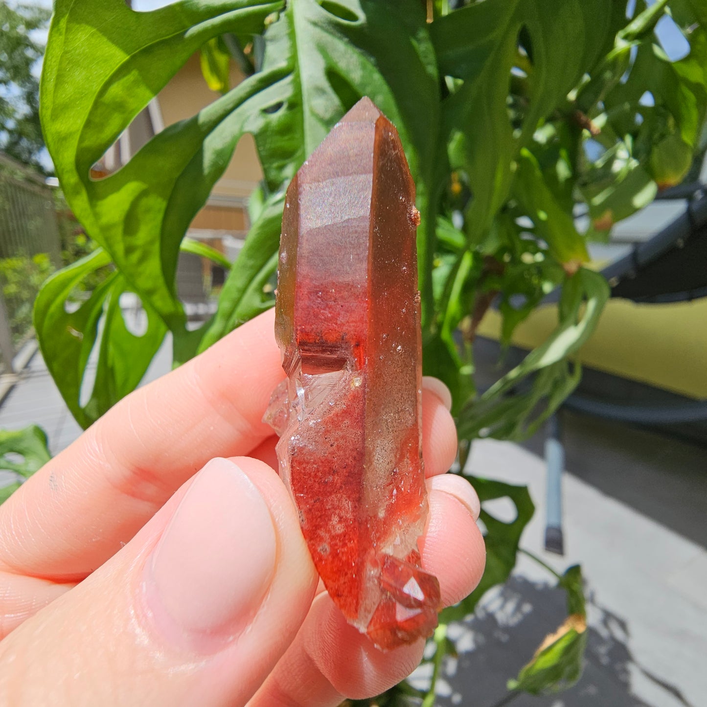 Red Quartz from Morocco #11X