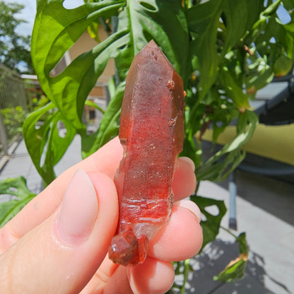 Red Quartz from Morocco #11X