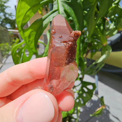 Red Quartz from Morocco #11X