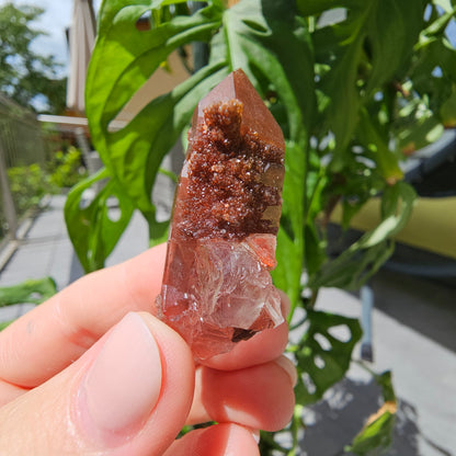 Red Quartz from Morocco #11X