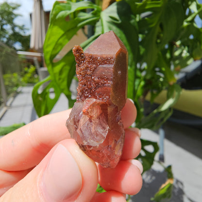 Red Quartz from Morocco #11X