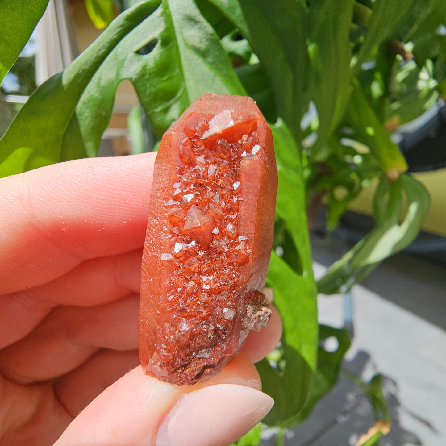 Red Quartz from Morocco #9d