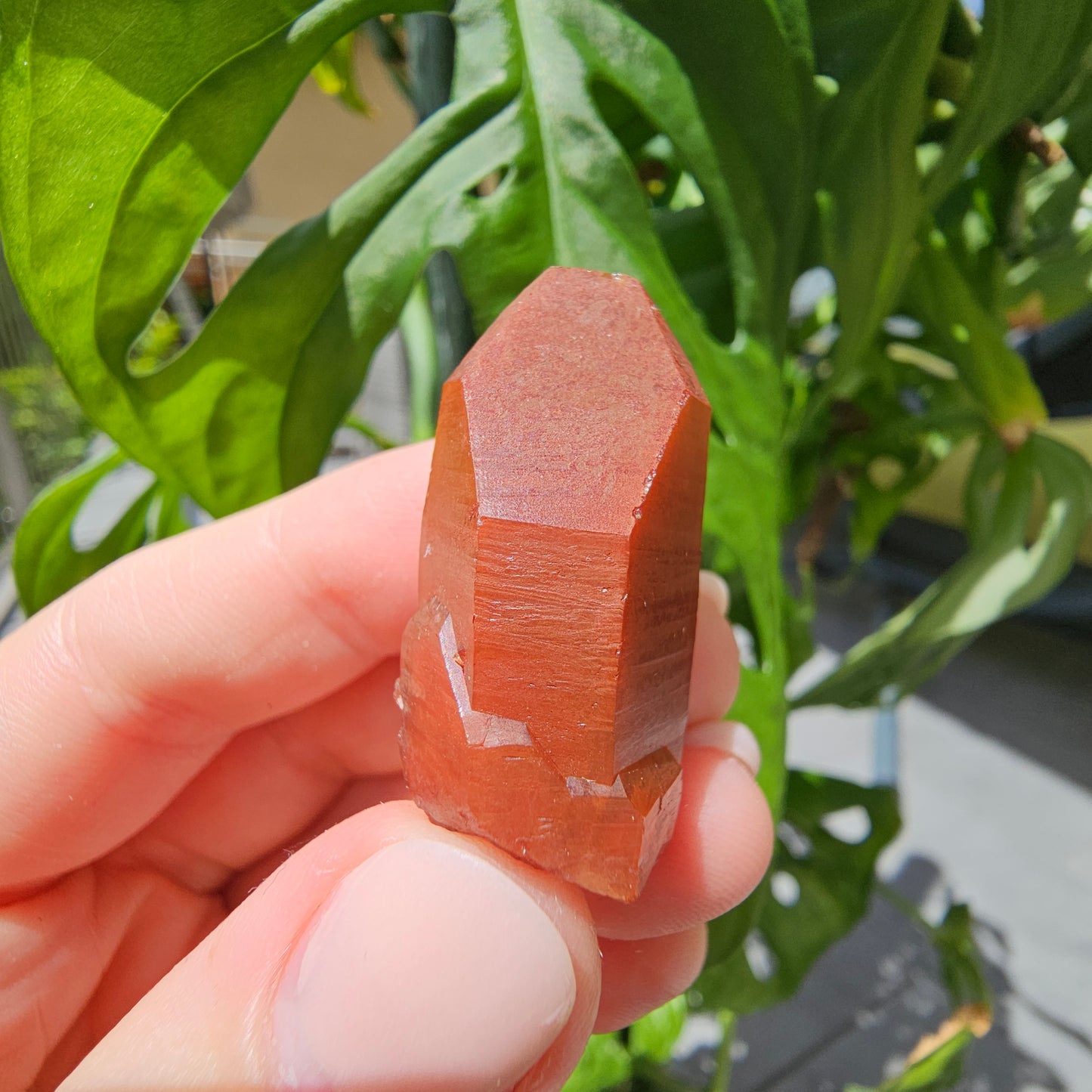 Red Quartz from Morocco #9d