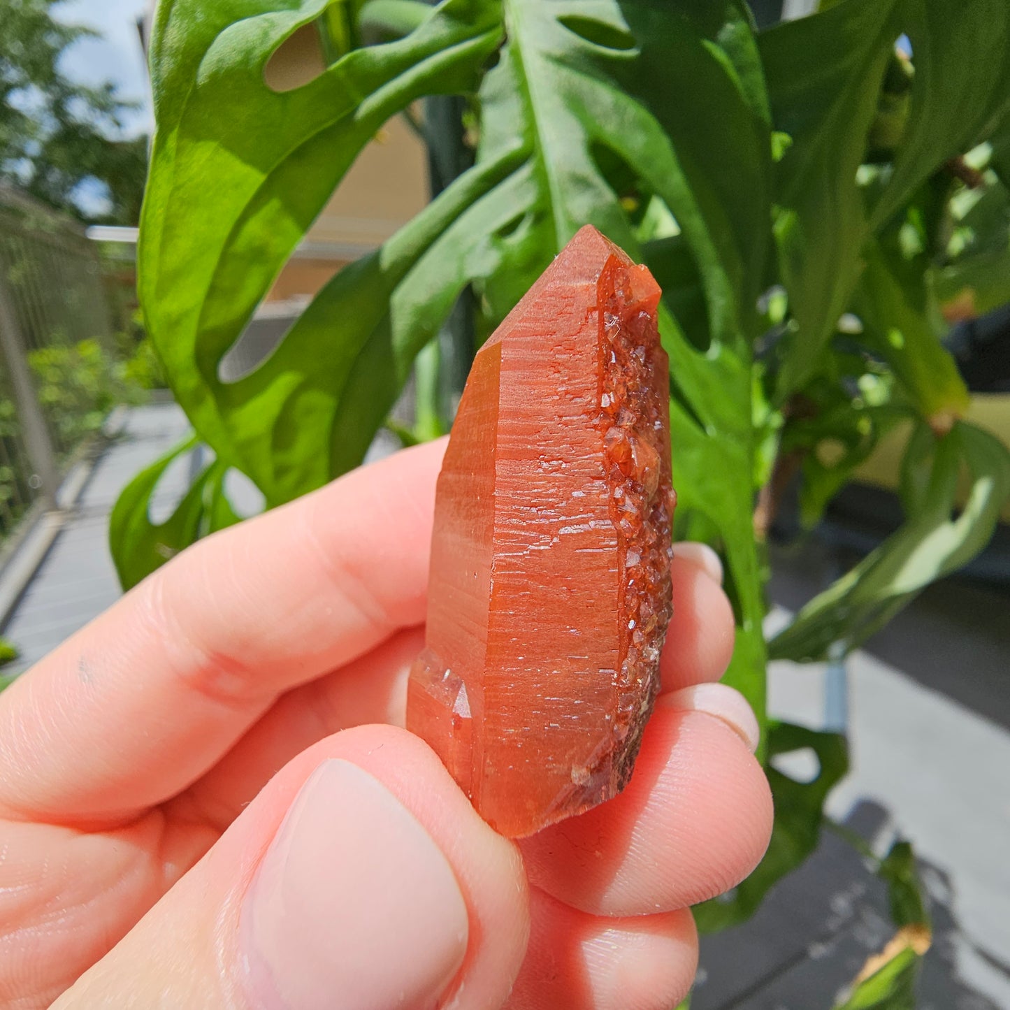 Red Quartz from Morocco #9d