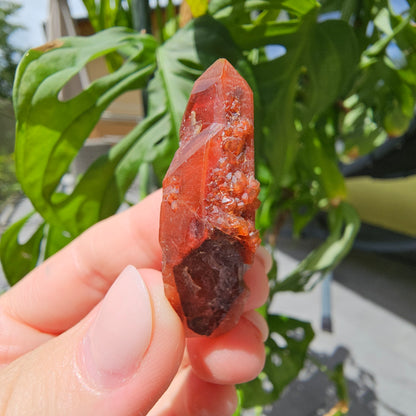 Red Quartz from Morocco #8b