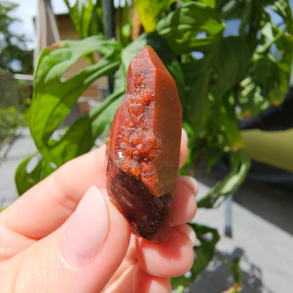 Red Quartz from Morocco #8b