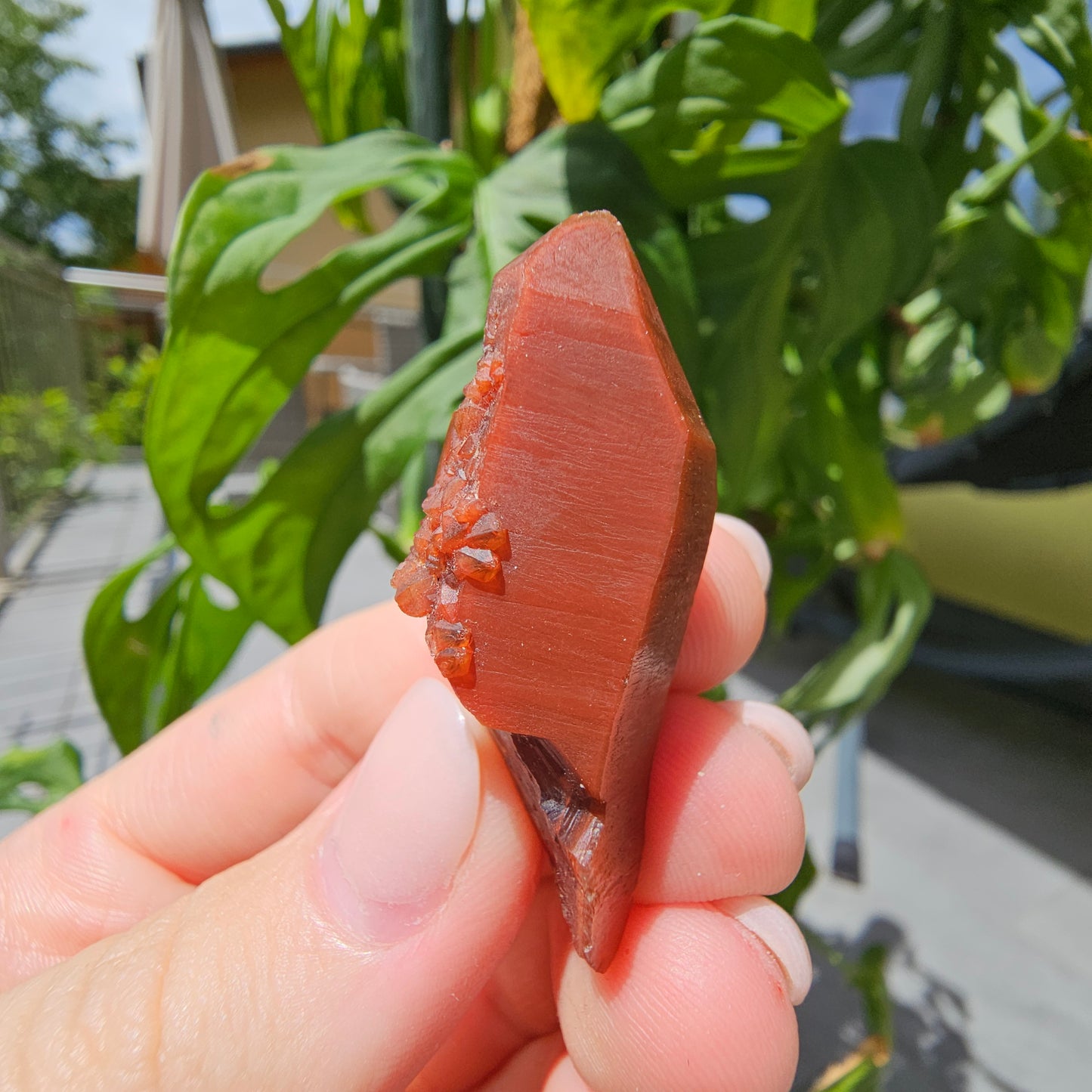 Red Quartz from Morocco #8b