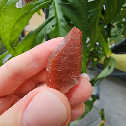 Red Quartz from Morocco #7i