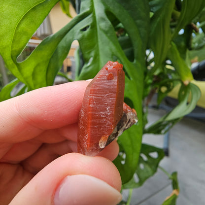 Red Quartz from Morocco #7i