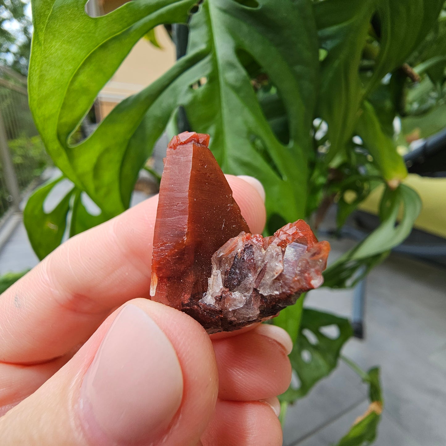 Red Quartz from Morocco #7i